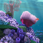 pic for tropical  176x176